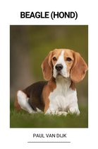 Beagle (Hond)
