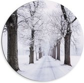 Dibond Muurcirkel - Bomen langs Besneeuwd Bospad in Sneeuw Landschap - 60x60 cm Foto op Aluminium Muurcirkel (met ophangsysteem)