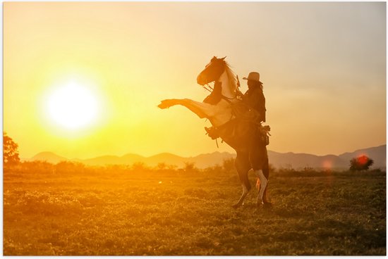Poster Glanzend – Felle Grote Zon achter Stijgerend Paard met Cowboy - 90x60 cm Foto op Posterpapier met Glanzende Afwerking