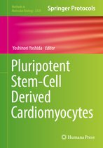 Pluripotent Stem Cell Derived Cardiomyocytes