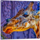 Tuinposter – Zijaanzicht van Giraffekop - 80x80 cm Foto op Tuinposter (wanddecoratie voor buiten en binnen)