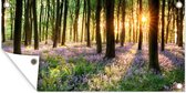 Tuinposter Bos - Natuur - Lavendel - Paars - Bloemen - 60x30 cm - Tuindoek - Buitenposter