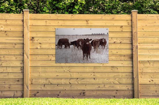 Affiche de jardin Troupeau de vaches dans un champ de neige 120x80 cm - Toile de jardin / Toile d'extérieur / Peintures d'extérieur (décoration de jardin)