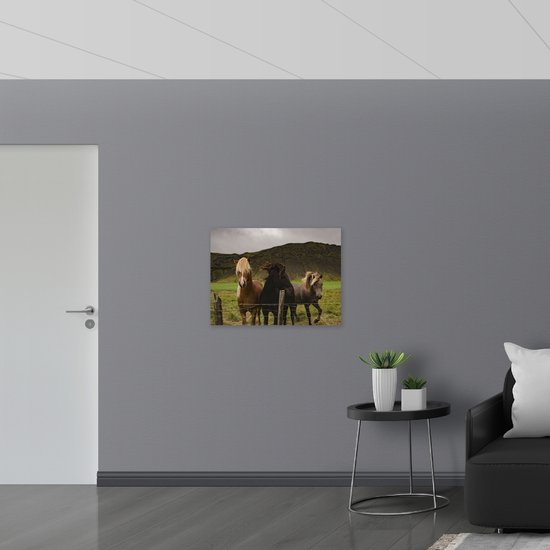 WallClassics - Verre acrylique - Trois Paarden de couleurs différentes - Photo 80x60 cm sur verre acrylique (avec système de suspension)