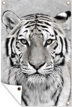 Affiche jardin - Toile jardin - Posters de jardin extérieur - Tigre - Nature - Zwart - Wit - 80x120 cm - Jardin