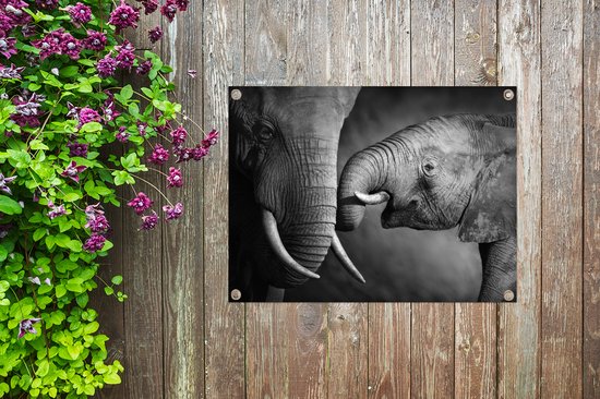 Tableau jardin Animaux sauvages - Éléphant - Zwart - Wit - Portrait - 80x60 cm - Affiche jardin - Toile jardin - Affiche extérieur