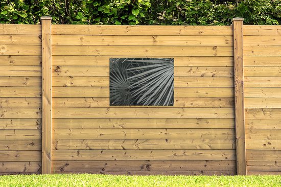 Tableau jardin Feuilles - Vert - Palmier - 80x60 cm - Poster jardin