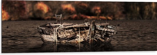 WallClassics - Dibond - Oude Houten Boot op het Waer bij Herfstbos - 120x40 cm Foto op Aluminium (Met Ophangsysteem)