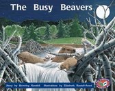 The Busy Beavers