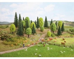 Gemengd bos / bomen