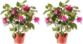 2x Roze fuchsiaplant kunstplant 30 cm voor binnen - kunstplanten/nepplanten/binnenplanten