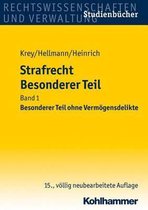 Strafrecht Besonderer Teil: Band 1