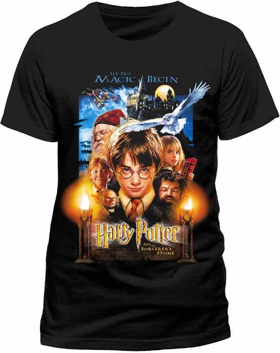 The Sorcerer's Stone Movie Poster heren 