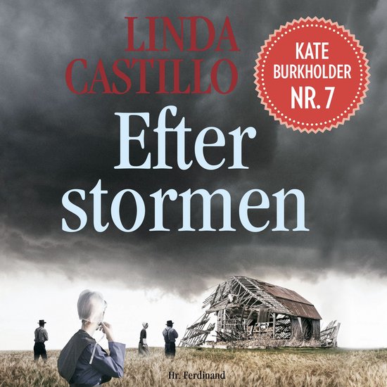 Efter stormen - cover