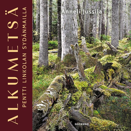 Alkumetsä - cover