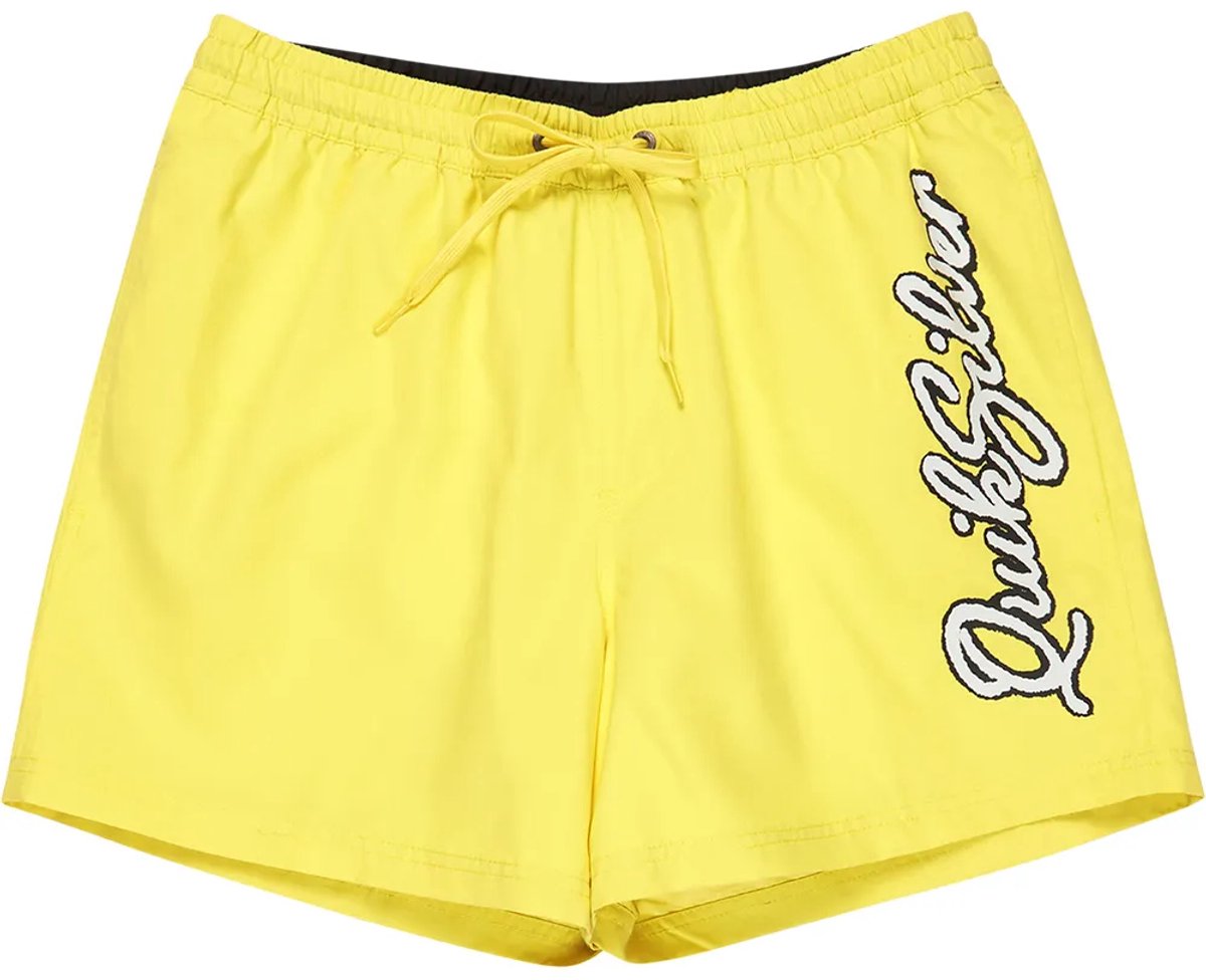 Quiksilver Everyday Malibu Volley 15´´ Zwembroek XL Man Acacia