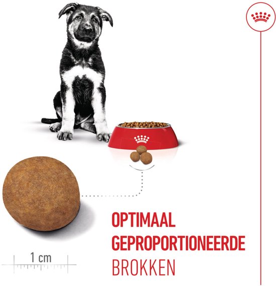 Een Duitse herder pup zit naast een maatlat van 1 cm en een rode voerbak gevuld met brokjes. Tekst: 'Optimaal geproportioneerde brokjes'.