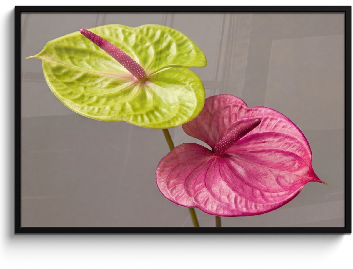 FrameYourWall Poster in lijst - Fotolijst 120x80 cm - Posters - Planten - Anthurium - Groen - Roze - Posterlijst zwart - Decoratie - Wanddecoratie woonkamer - Muurdecoratie slaapkamer