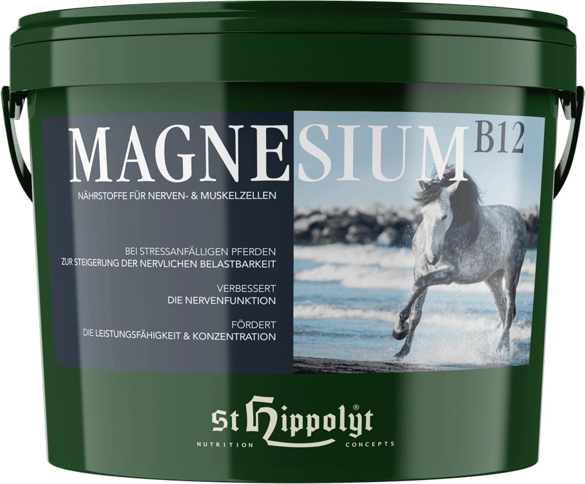 St. Hippolyt Magnesium B12 - 2,5 kg