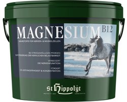 St. Hippolyt Magnesium B12 - 2,5 kg