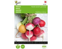 Buzzy® Radijs Ronde soorten gemengd