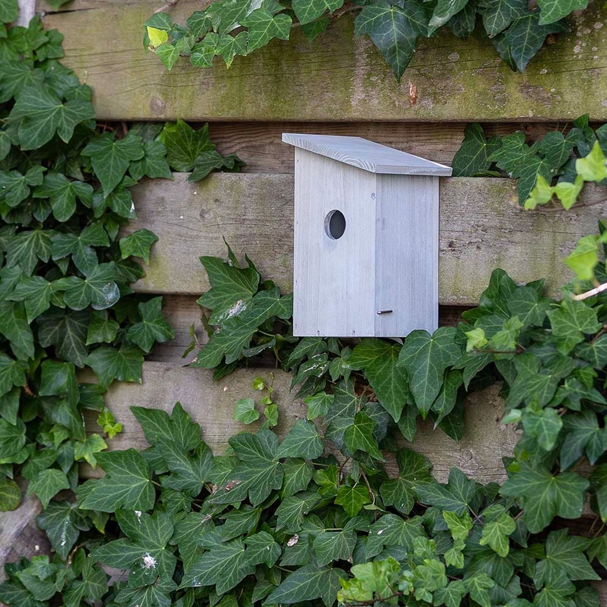 Gifts4Nature Nestkast - 32mm - Nestkastje voor o.a. Koolmees, Boomklevers & Mussen - Houten Vogelhuisje - FSC-gecertificeerd - Grijs