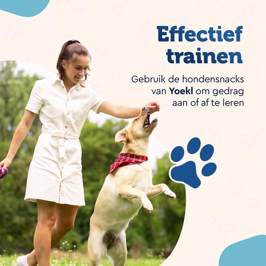 Een vrouw met een witte jurk traint een blonde hond die springt voor een traktatie. "Effectief trainen".