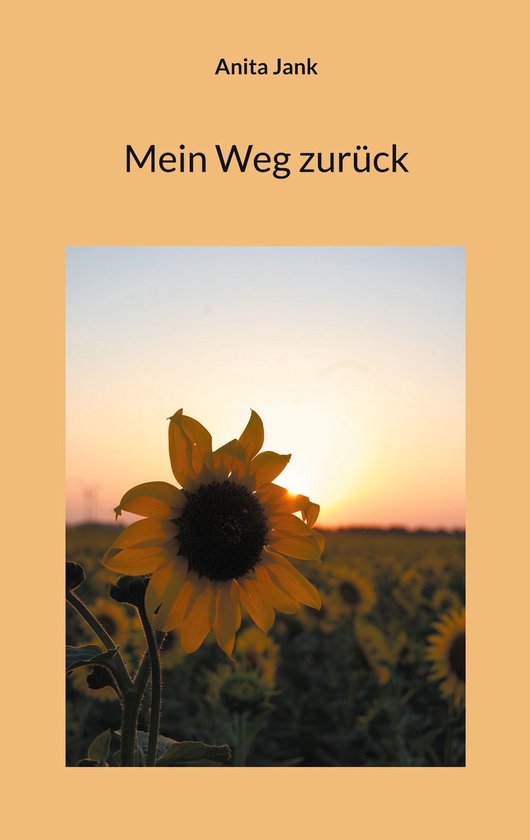 Mein Weg zurück - cover