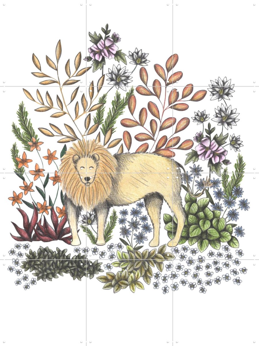 IXXI Safari Lion, Cecilia Battaini - 60 x 80 cm - Gratis ophangtool - Grote wanddecoratie en posters - Illustraties, Naturalisme, Fantasierijk
