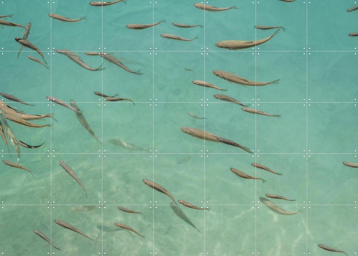 IXXI Fishing In China, Photolovers - 140 x 100 cm - Gratis ophangtool - Grote wanddecoratie en posters - Naturalisme, Fotografie, Realisme, Woonkamer