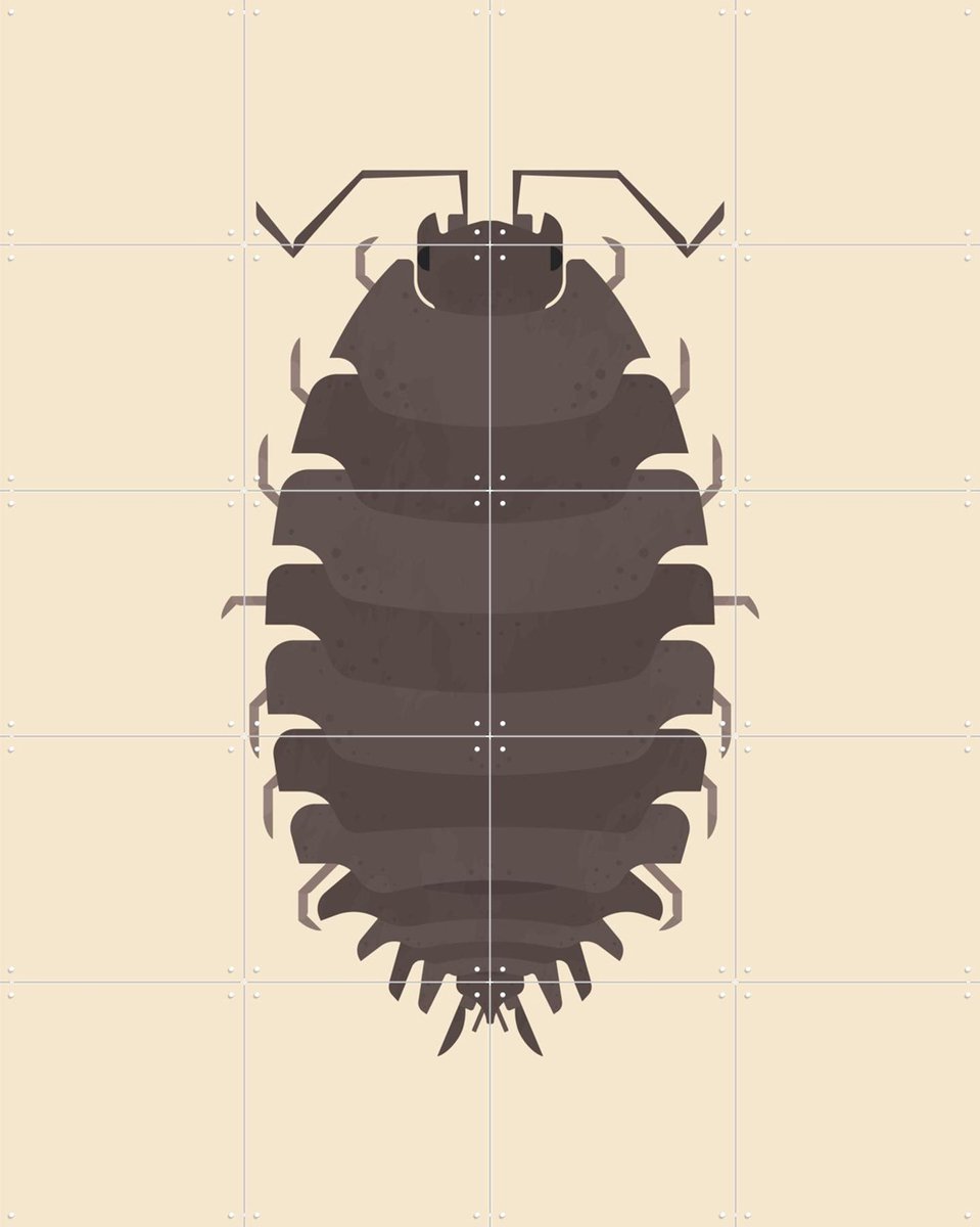 IXXI Woodlouse, Studio Kars + Boom - 80 x 100 cm - Gratis ophangtool - Grote wanddecoratie en posters - Digitale Kunst, Grafisch Ontwerp