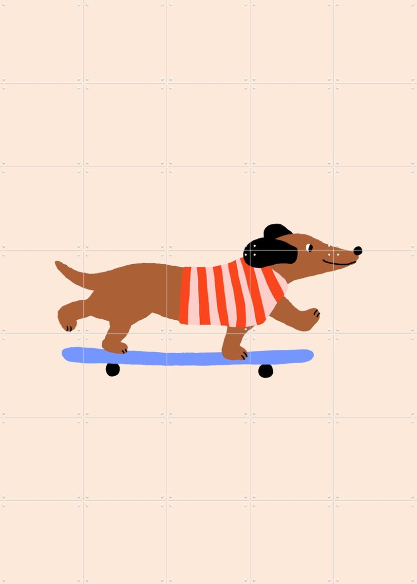 IXXI Dachshund on Skateboard, Maren Gross & Various - 100 x 140 cm - Gratis ophangtool - Grote wanddecoratie en posters - Illustraties, Cartoonesk