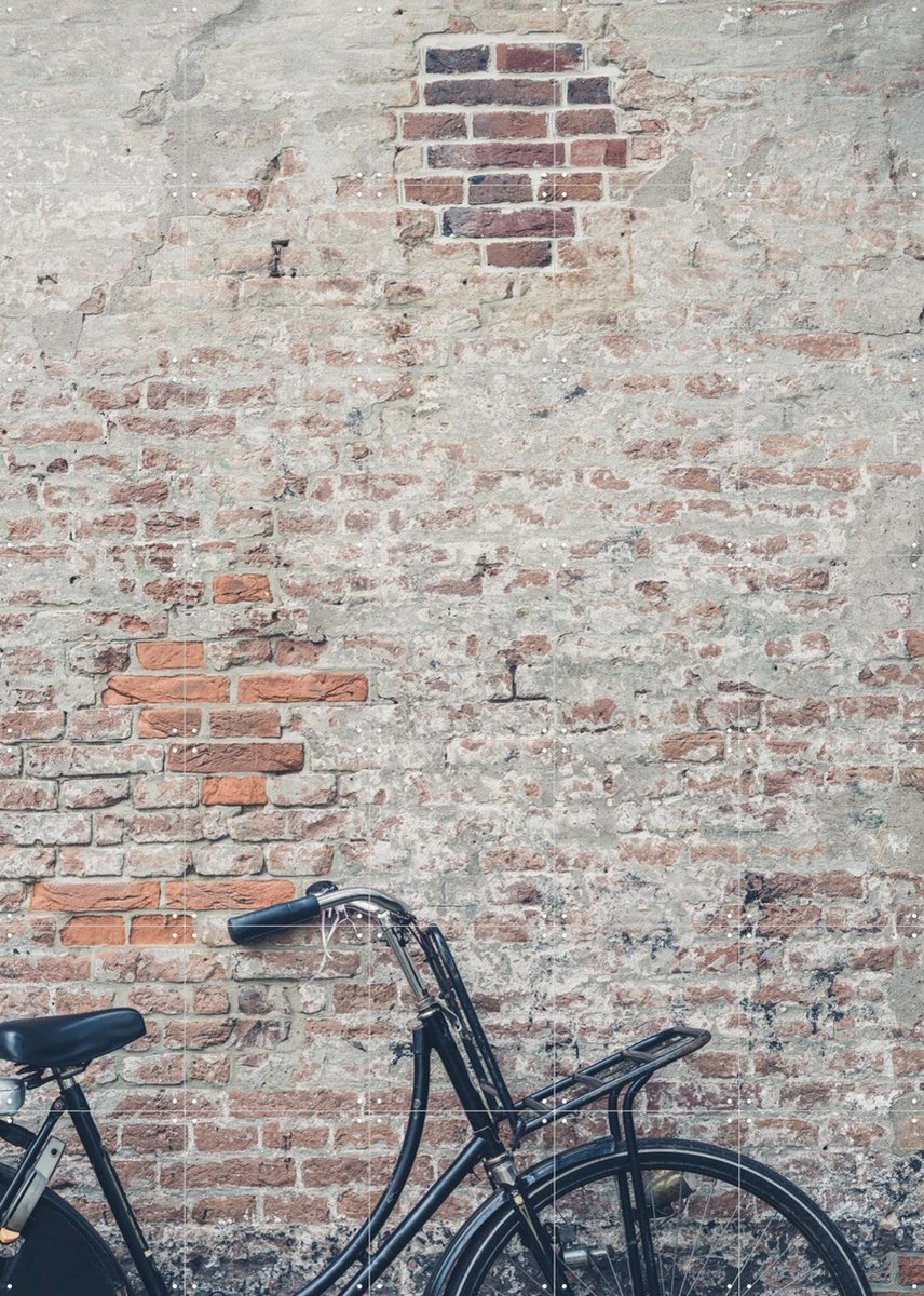 IXXI Dutch Bike, Photolovers - 100 x 140 cm - Gratis ophangtool - Grote wanddecoratie en posters - Fotografie, Vintage,