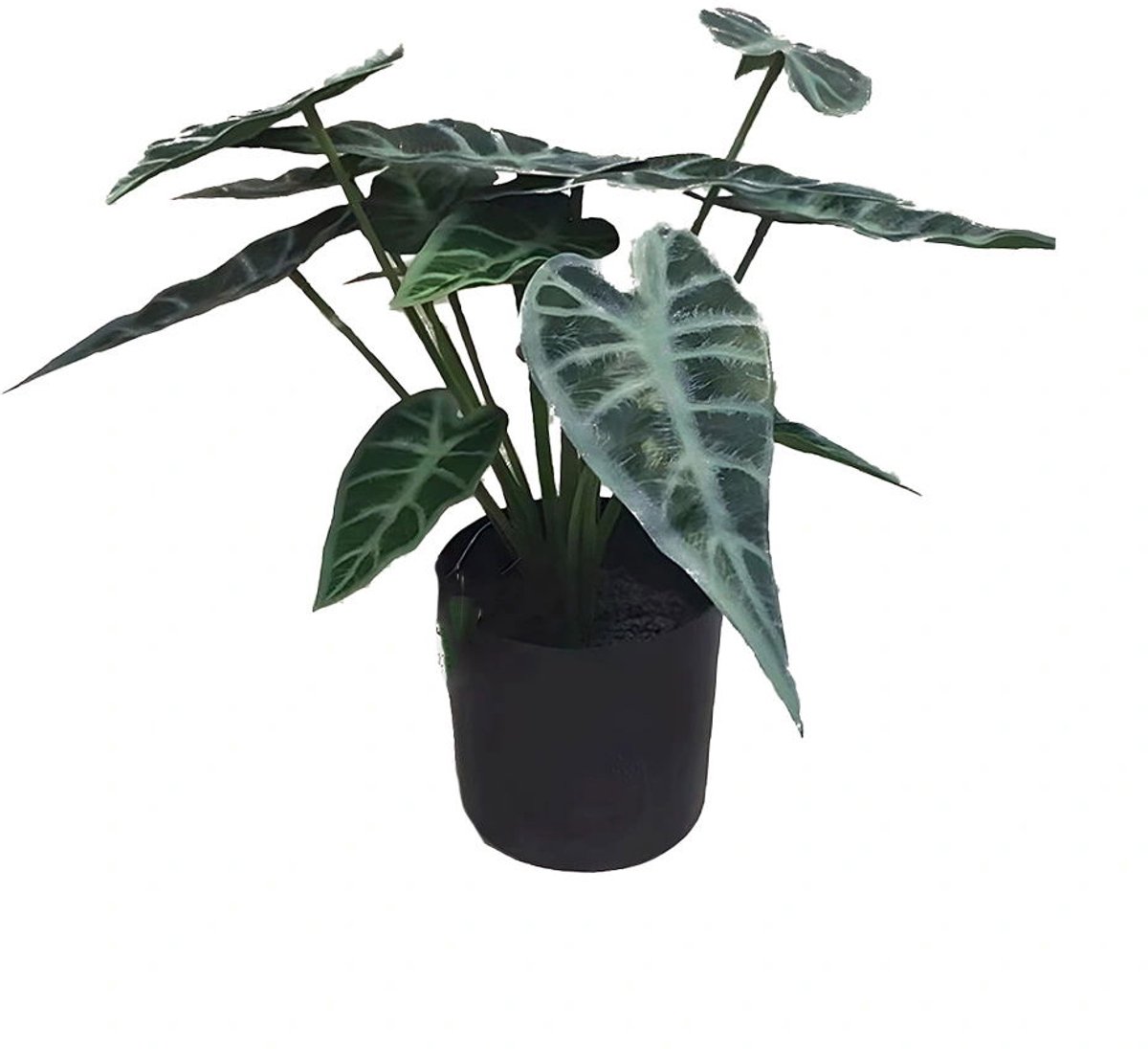 Buitengewoon Boet Alocasia 30 cm kunstplant Buitengewoon de Boet groen