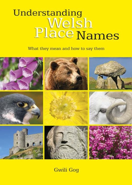 Boek "Understanding Welsh Place Names" met afbeeldingen van planten, dieren en landschappen.