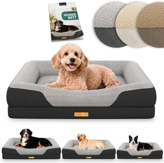 Verschillende hondenmaten: een teckel ligt op een grijs en zwart hondenbed, met kleinere honden op kleinere bedden.