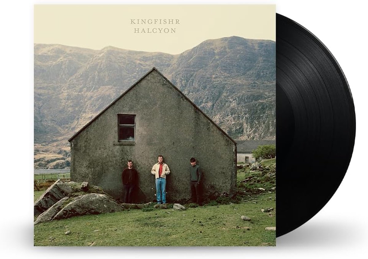 Muziekalbum - Folk Rock - Ontspanning Luisteren - Authentieke Muzikaliteit - 315 cm