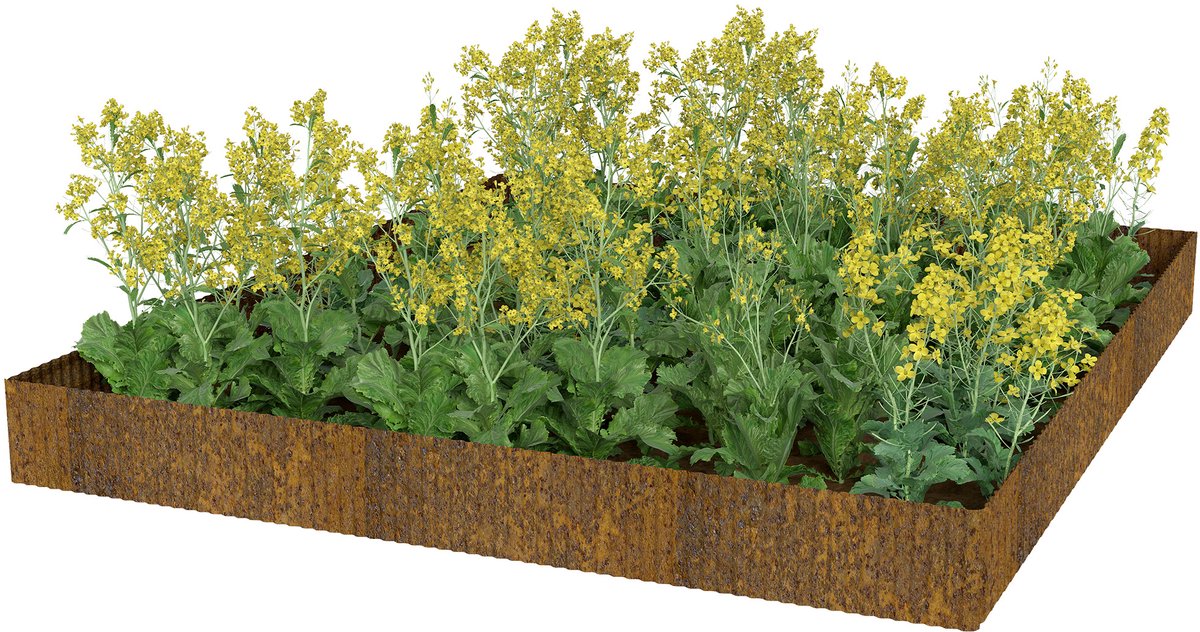 ACXIN Rasenkante - Metalen Beetumranding - Flexibel voor Tuin en Bloembedden - Roestkleur - Golvende Vorm - 10 m