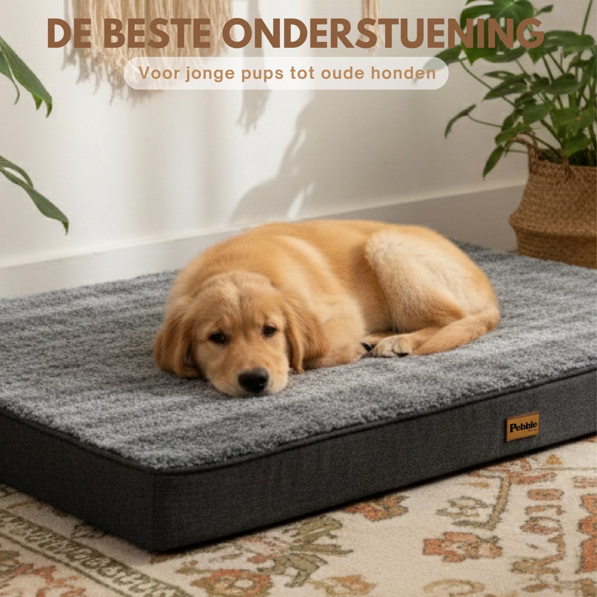 Pebble Orthopedisch Hondenkussen 75x50 cm - Hondenmand & Benchkussen - Dierenkussen - Voor Kleine tot Middelgrote Honden - Hondenbed – foto 6