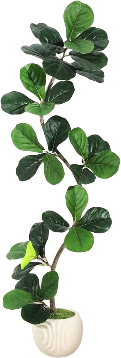 Happiq Kunstmatige Fiddle Leaf Fig Tree - Voor thuis of op kantoor - Decoratief en onderhoudsvriendelijk - Grote faux Ficus met witte plantenbak - Groen-150cm Green
