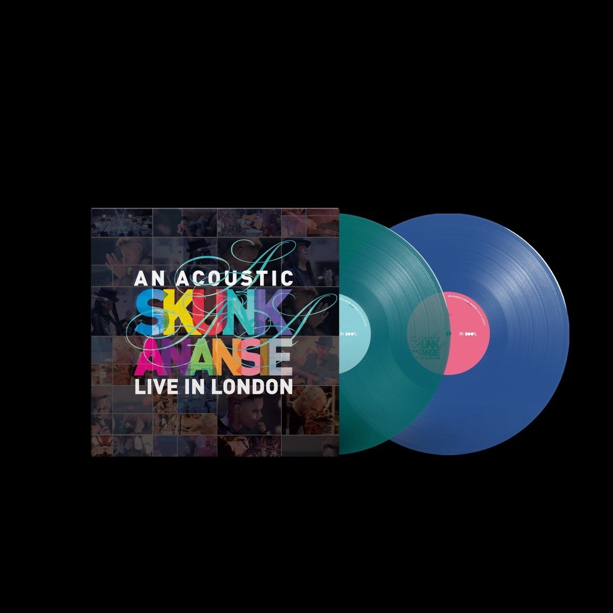 An Acoustic Skunk Anansie