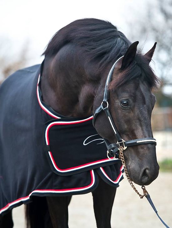 Master MASTER Fleece HypoStore Showdeken Zwart-165 / 215