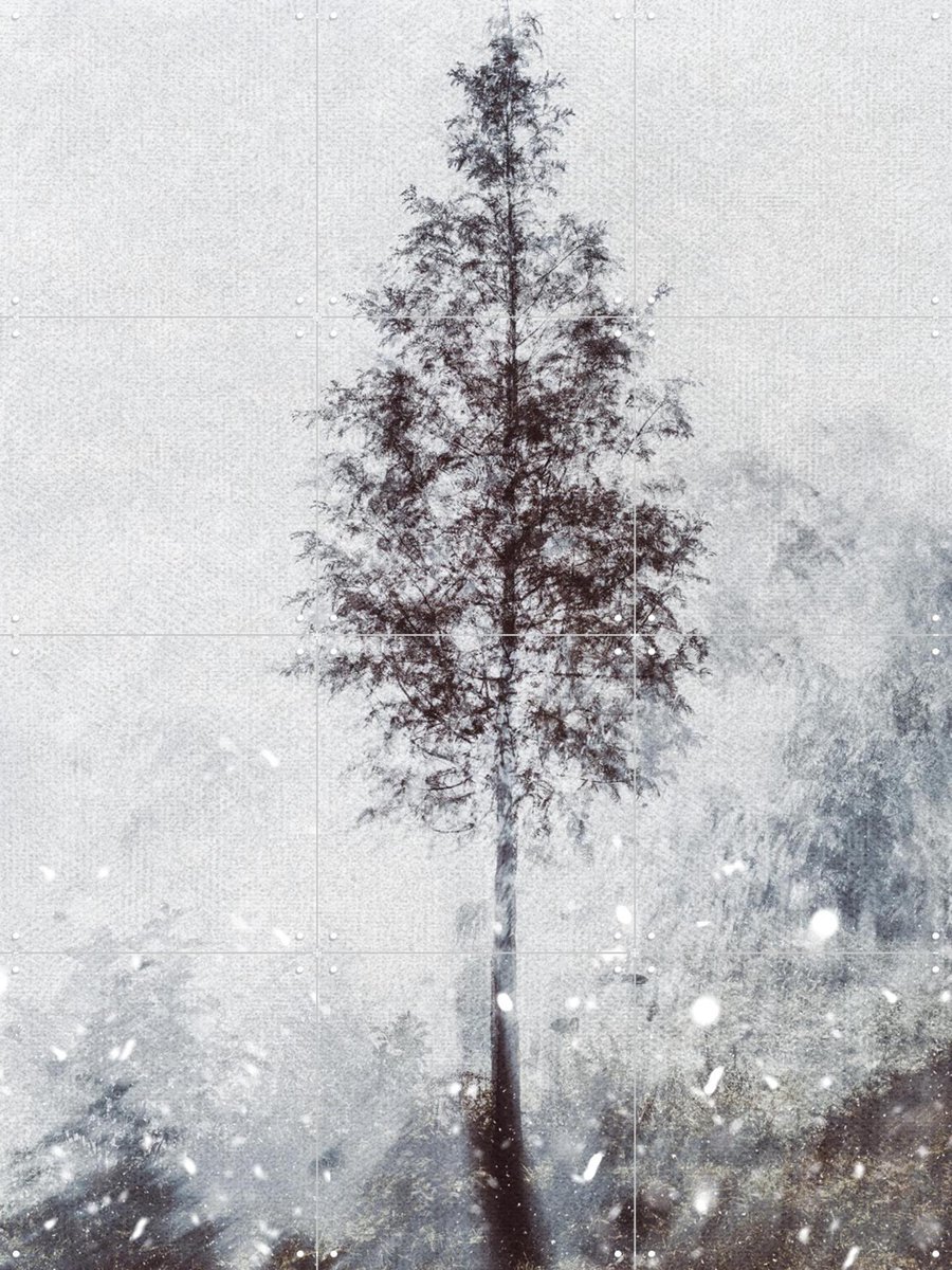 IXXI Winter Tree, Photolovers - 60 x 80 cm - Gratis ophangtool - Grote wanddecoratie en posters - Fotografie, Minimalisme, Woonkamer, Slaapkamer