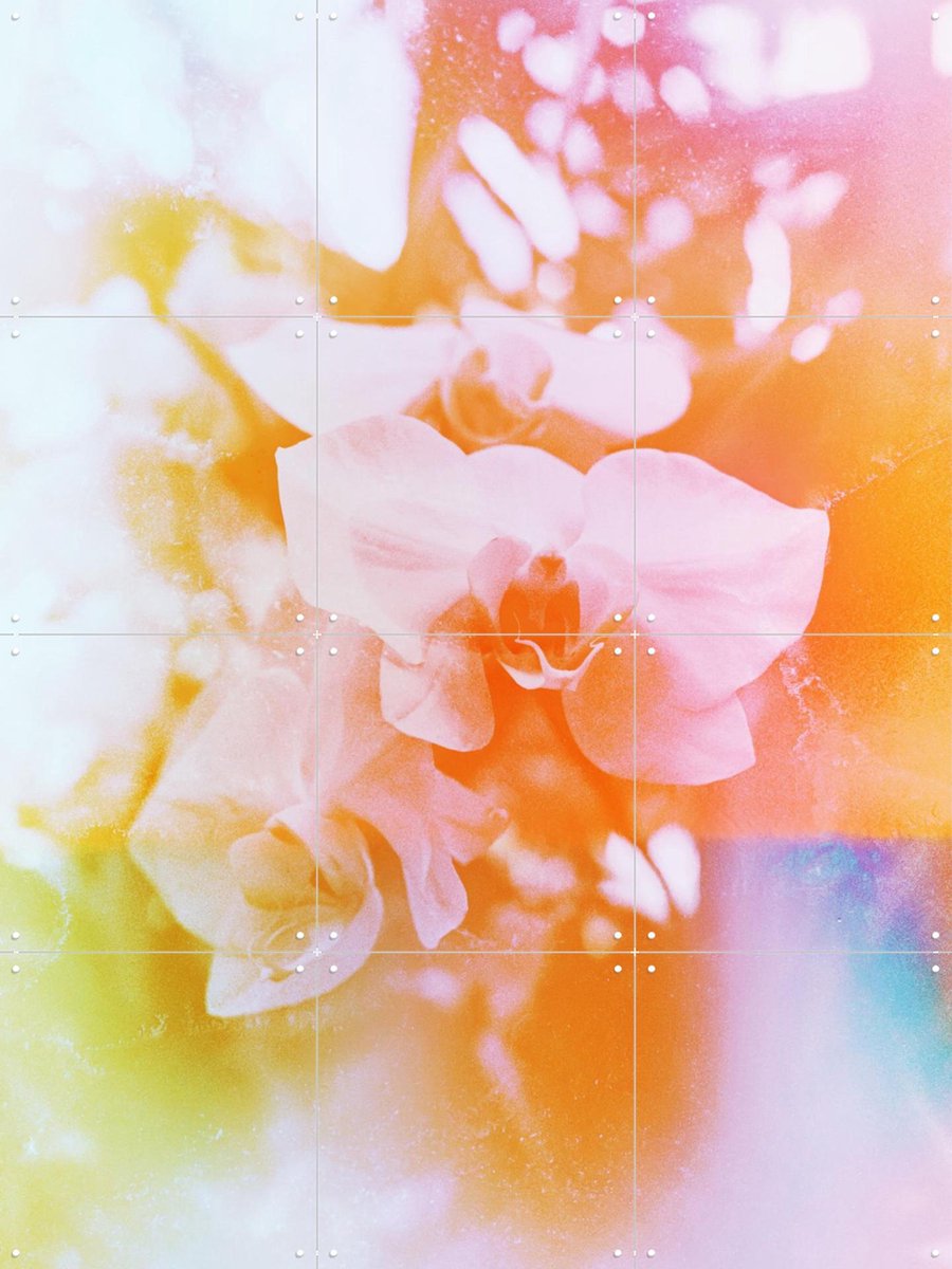 IXXI Evolve, Amber Lauder - 60 x 80 cm - Gratis ophangtool - Grote wanddecoratie en posters - Abstract, Kleurrijk, Fotografie, Slaapkamer, Woonkamer