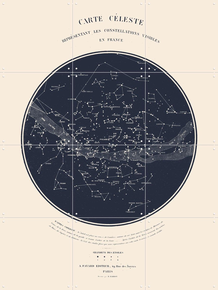 IXXI Carte Celeste Dark Blue, Aster Edition - 60 x 80 cm - Gratis ophangtool - Grote wanddecoratie en posters - Klassiek, Vintage, Houtsnede