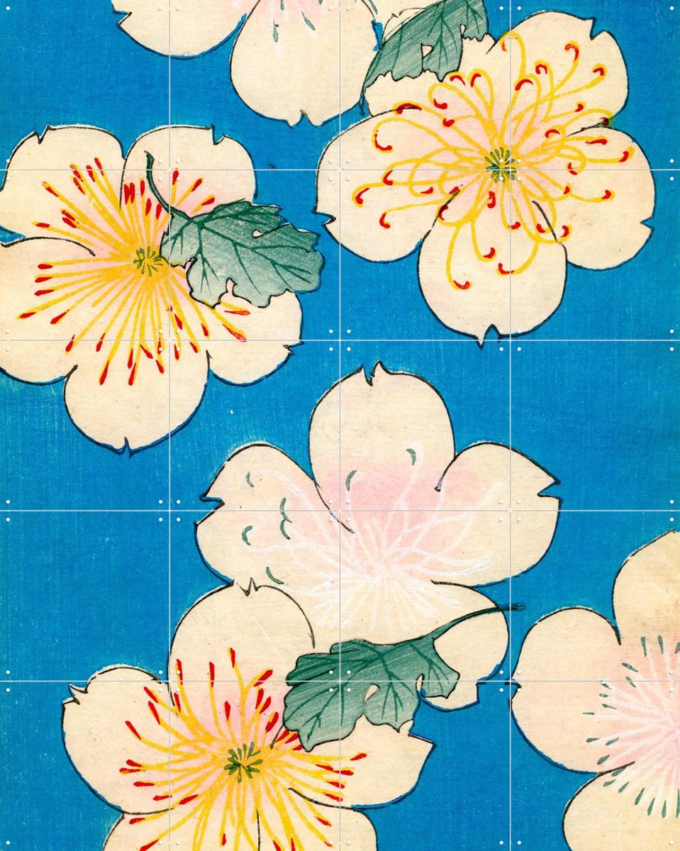 IXXI Dogwood Blossoms 1883, Bridgeman Images - 80 x 100 cm - Gratis ophangtool - Grote wanddecoratie en posters - Klassiek, Illustraties, Houtsnede