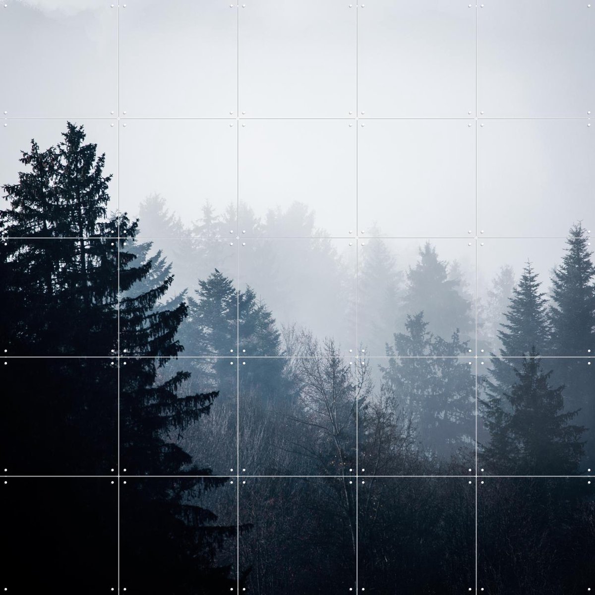 IXXI Woods 7, Mareike Böhmer - 100 x 100 cm - Gratis ophangtool - Grote wanddecoratie en posters - Fotografie, Woonkamer, Slaapkamer, Bossen, Natuur