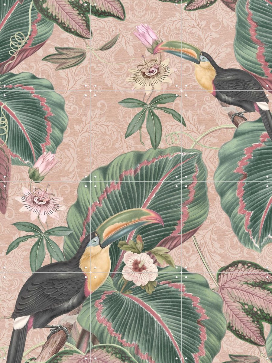 IXXI Tropical Jungle Toucans, Bloomery Decor - 60 x 80 cm - Gratis ophangtool - Grote wanddecoratie en posters - Kleurrijk, Naturalisme, Vintage