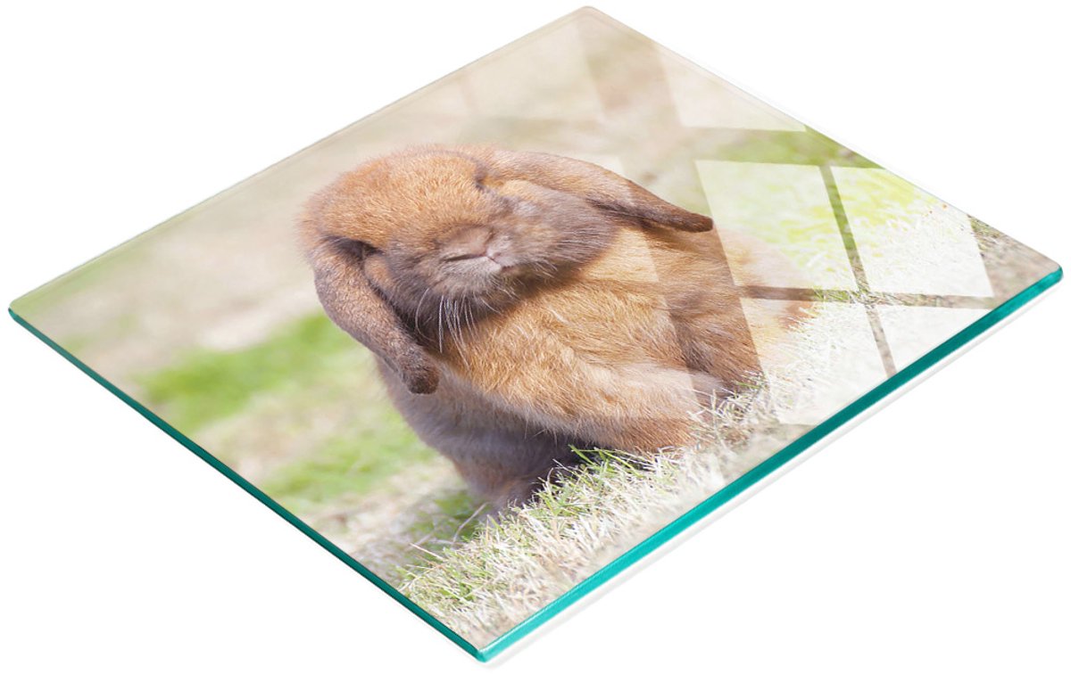 Decoratieve glazen snij- en serveerplank met schattig konijntje, 60x52 cm