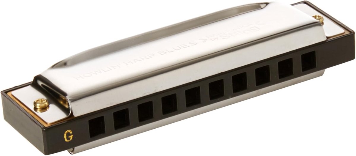 Diatonische Blues Harmonica in G- majeur met 10 Gaten